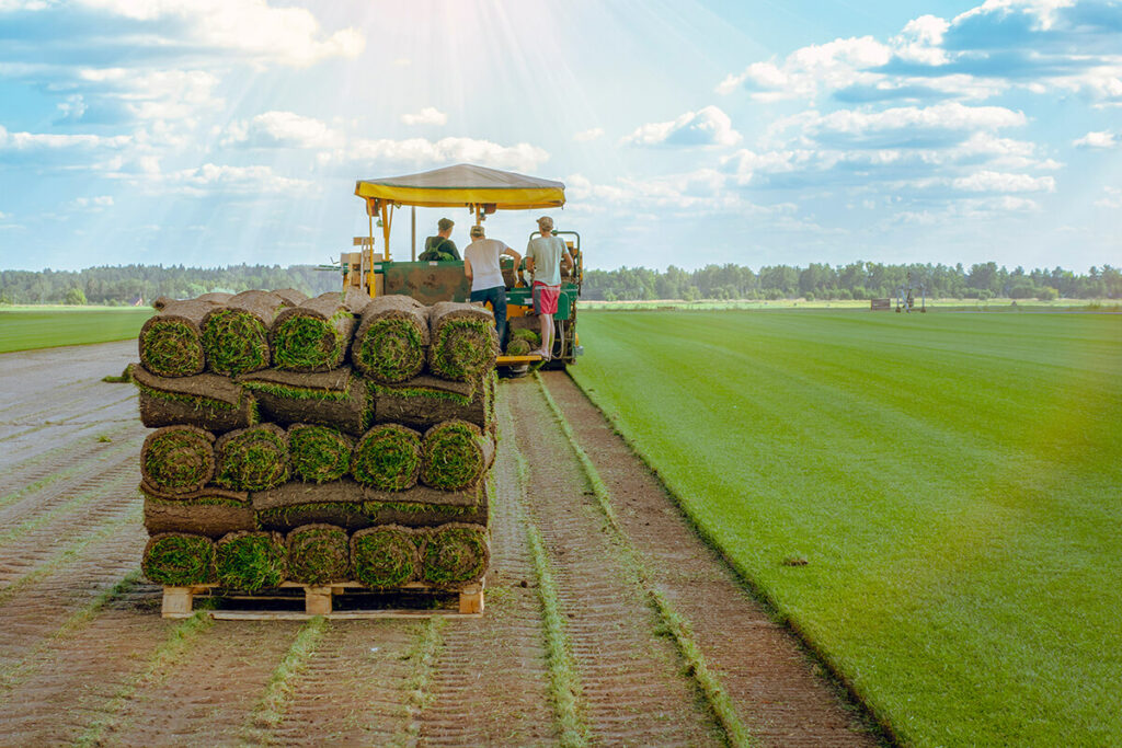 New Sod Farm Opening in the Siouxland Area