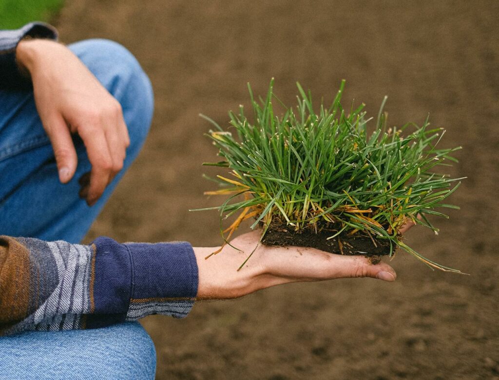 Man holding a piece of sod in his hand